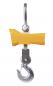 Preview: Bernardo CW 500 crane scales