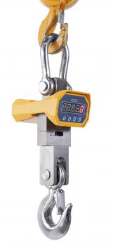 Bernardo CW 5000 crane scales